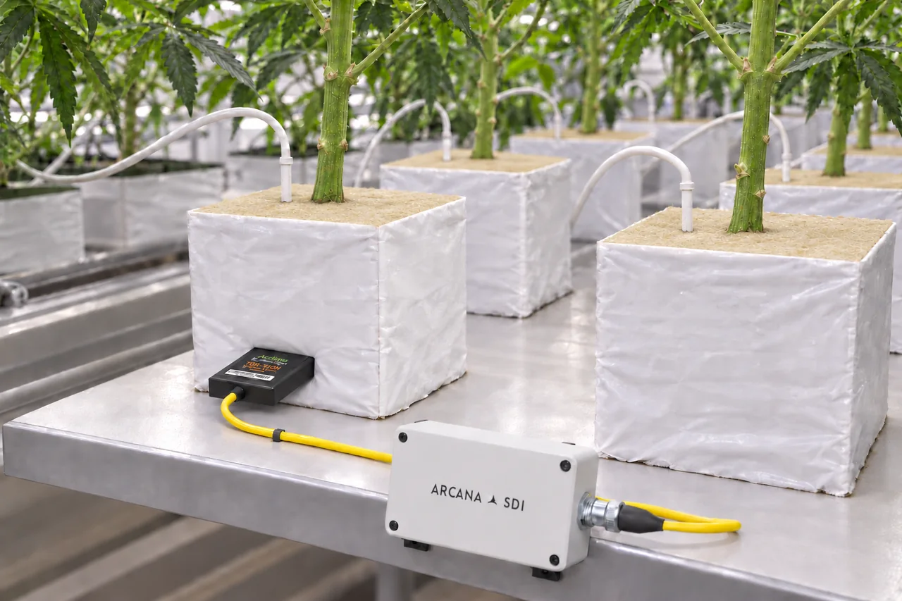Arcana SDI node connected to a substrate probe beside irrigated rockwool cubes.